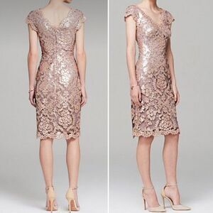 Tadashi Shoji Lace Paillette Cocktail Dress Shimmer Taupe Blush Women’s Size 4